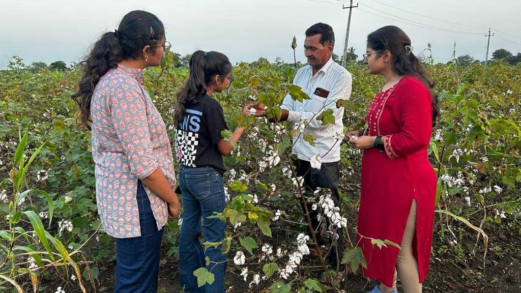 Three students standing in a cotton field in flower while a farmer holds out a branch and explains it to them